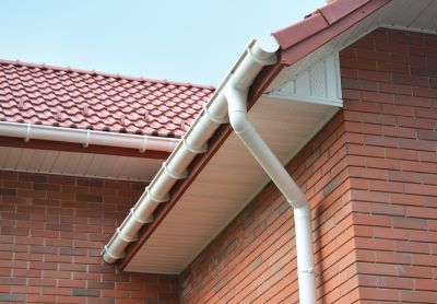 Keep Your Fascia Clean and Well Maintained