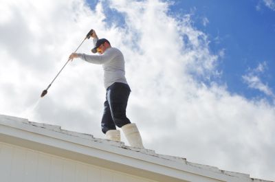 Get Professional Roof Cleaning!