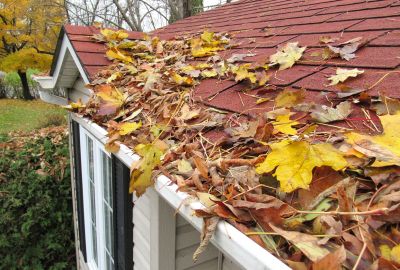 Remove Leaves from Your Roof!