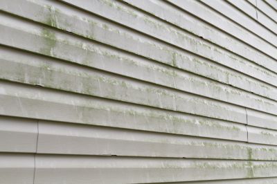 Remove Dirt, Mold, Grime, and Debris!